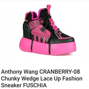 Brand new ✨️✨️Size 8 ANTHONY WANG Hihgtop Sneakers
